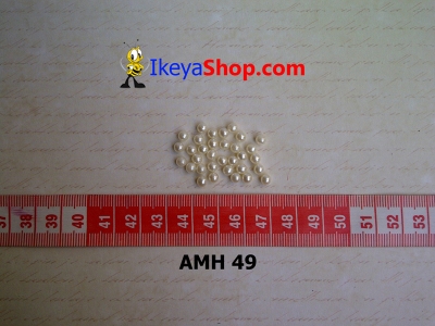 AMH 49  large2